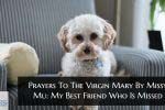 Prayers To The Virgin Mary By Missy Mu_ My Best Friend Who Is Missed