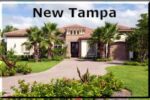 Tampa Housing Market