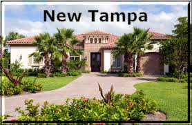 Tampa Realtor Robert Leonard