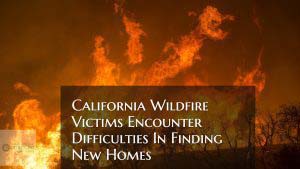 California Wildfire Homeowners