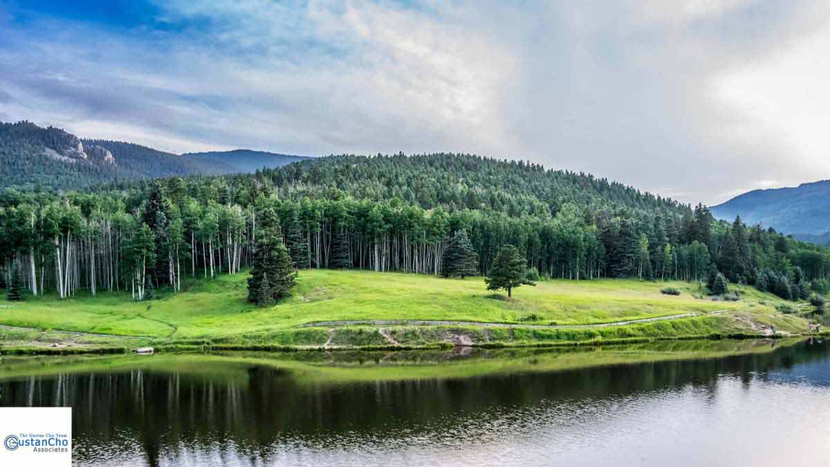How Qualifying For Mortgage With Direct Colorado Lender With No Overlays  In Colorado Springs Housing Market