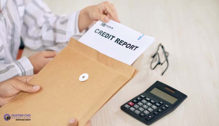 How To Review Credit Report